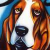 Bassett_Hound