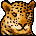 Cheetor