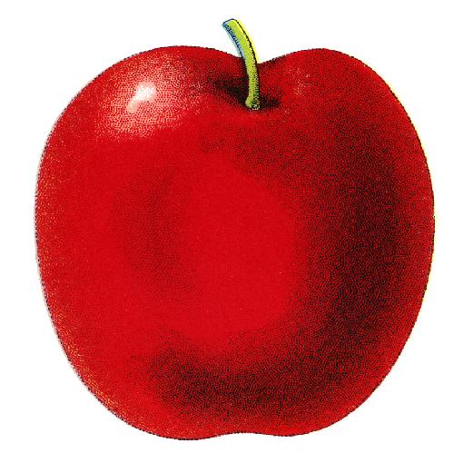 apple_drawing-18250.jpg