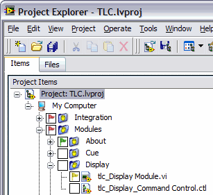 LabVIEW Project Item Flags.png