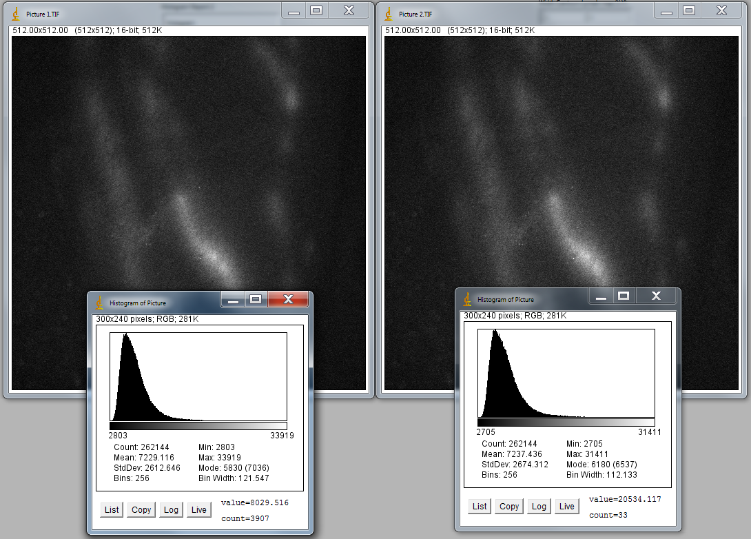 ImageJ picture 1 and 2.png