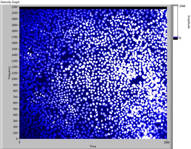 TIFF in intensity graph.png