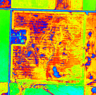 ndvi3.png