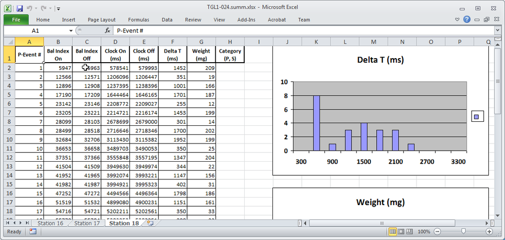 Excel Output.png