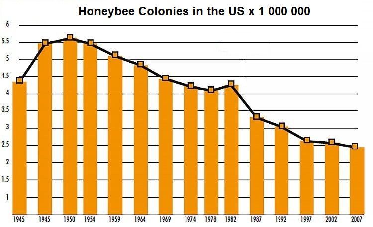 Figure 1: Bee colony decrease in the past 50 years