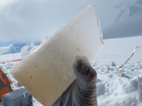 The type of ice core sample wanted for analysis