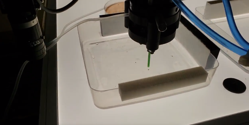 Figure 8. The tool for small insects approaching an insect for pick-up. A syringe pump is connected to the tool to provide suction to pick up the insect