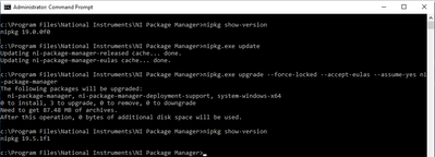 Working NIPM 19.0.0 upgrade to 19.5.1