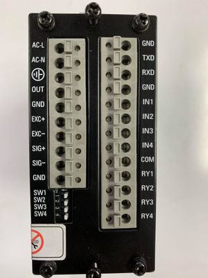 DACELL Strain Amplifier Back Panel