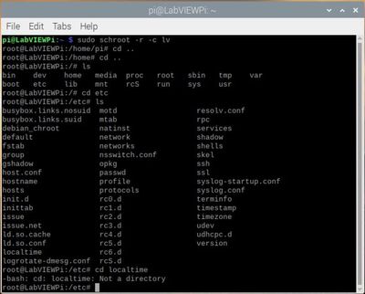 LabVIEW chroot localtime.jpg