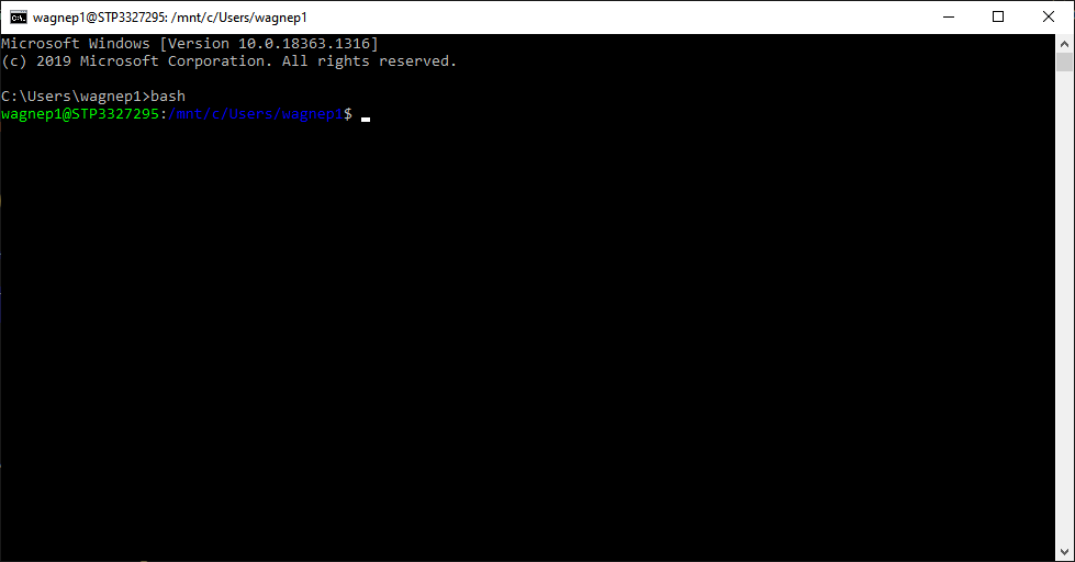 bash.png