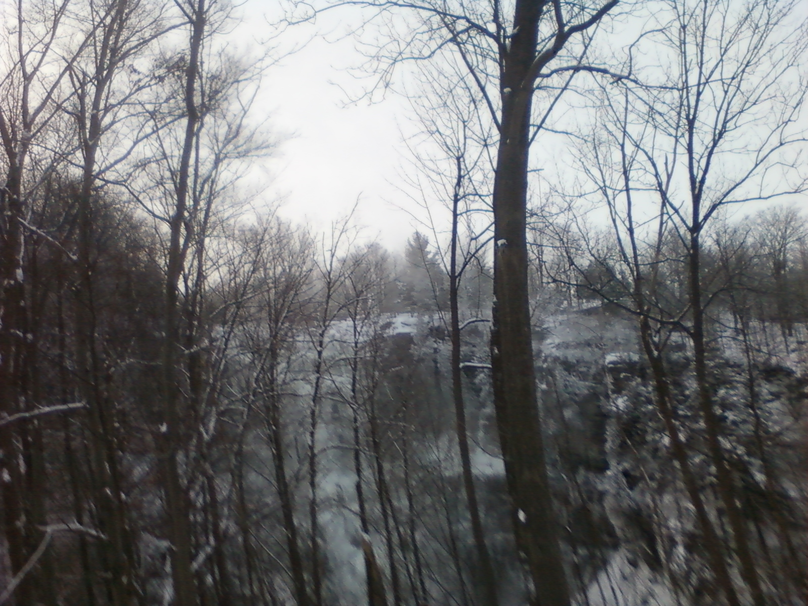 Chittenango Falls_122612_0826.jpg